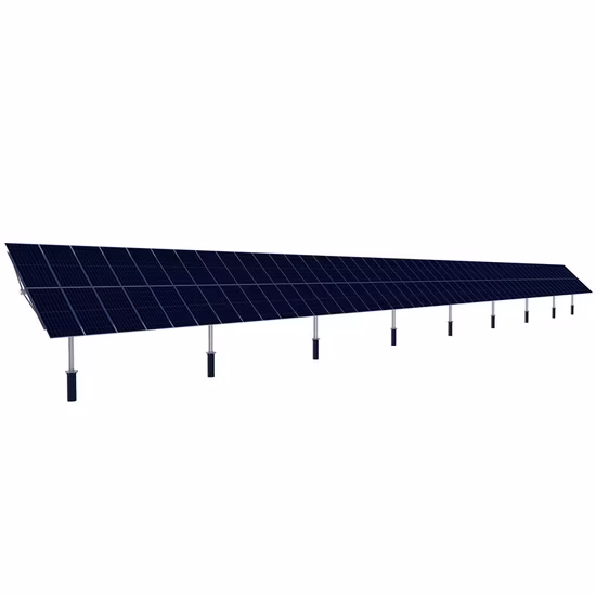 Rigid Scope Silicon Bracket Fully-Removable Lid Stainless Steel Sterilization Baskets