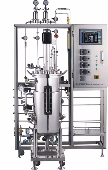 Automatic Stainless Steel Enzyme Reactor Independent Sterilization System Equipment Machine