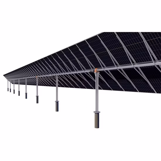 Rigid Scope Silicon Bracket Fully-Removable Lid Stainless Steel Sterilization Baskets