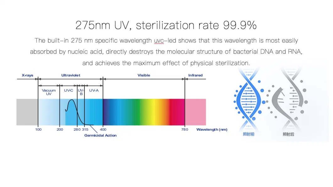 High Quality Hot Selling Rechargeable Battery Automatic Timer Air Drying UV Toothbrush Sterilizer