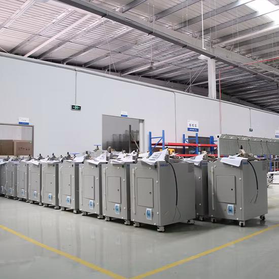 Biobase China Easy Operation Portable Autoclave Bkm-P18 (D) for Hospital