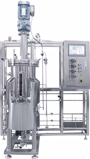 Automatic Stainless Steel Enzyme Reactor Independent Sterilization System Equipment Machine
