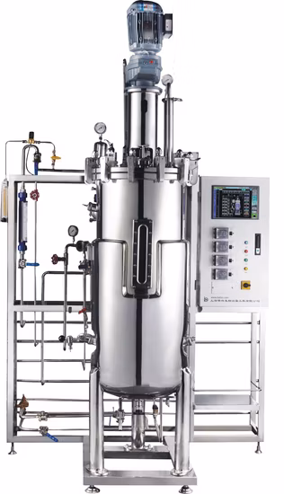 Máquina automática del equipo del sistema de esterilización independiente del reactor enzimático de acero inoxidable
